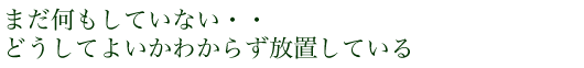 まだ何もしていない・・どうしてよいかわからず放置している